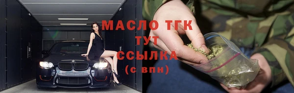 тгк Верея