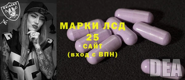 гидропоника Бородино